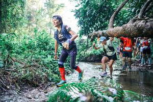 BIB: 
                            <button type="button" onclick="openModal(25445695)" class="btn btn-primary btn-sm float-right btn-popup" data-toggle="modal" data-target=".modal-high-quality">
                        <i class="fas fa-shopping-cart"></i> Add to Cart
                    </button>
                                            <button type="button" onclick="isThisMe(25445695, true)" class="btn btn-success btn-sm float-right btn-popup btn-isme hidden" data-toggle="tooltip" data-placement="bottom" title="นี่คือรูปของคุณใช่ไหม คลิกที่นี่เพื่อเอาเข้าอัลบั้ม">
                        <i class="fas fa-plus"></i> Add to album
                    </button>
                    <button type="button" onclick="isThisMe(25445695, false)" class="btn btn-warning btn-sm float-right btn-popup btn-isnotme hidden">
                        <i class="fas fa-ban"></i> Remove from album
                    </button>